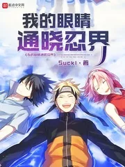 《我的眼睛通晓忍界》小说封面