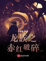 《龙族之赤红破碎》小说封面