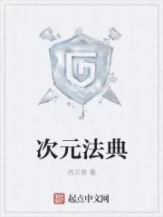 《次元法典》小说封面