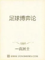 《足球博弈论》小说封面