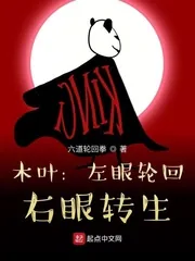 《木叶：左眼轮回，右眼转生》小说封面