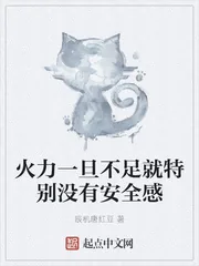 《火力一旦不足就特别没有安全感》小说封面