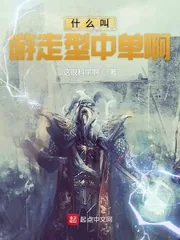 《什么叫游走型中单啊》小说封面