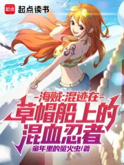 《海贼:混迹在草帽船上的混血忍者》小说封面