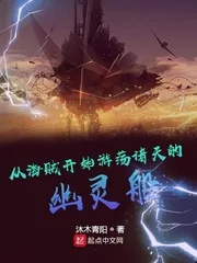 《从海贼开始游荡诸天的幽灵船》小说封面