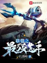 《联盟之最强选手》小说封面