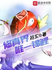 《修真界唯一锦鲤》小说封面