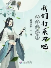 《全息网游之我们打菜刀吧》小说封面