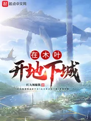 《在木叶开地下城》小说封面