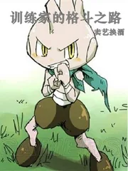 《训练家的格斗之路》小说封面