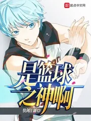 《是篮球之神啊》小说封面