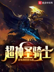 《超神圣骑士》小说封面