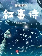《迷途的叙事诗》小说封面