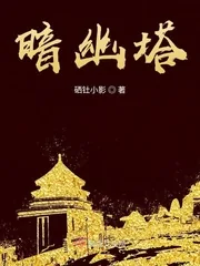 《暗幽塔》小说封面