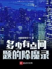 《多少有点问题的除魔录》小说封面
