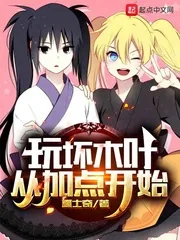 《玩坏木叶从加点开始》小说封面