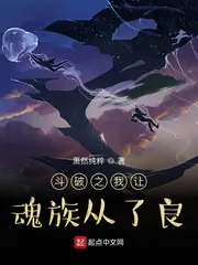 《斗破之我让魂族从了良》小说封面