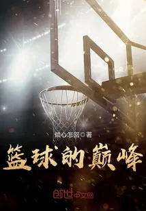 《篮球的巅峰》小说封面