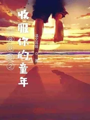 《口袋妖怪之收服你的童年》小说封面