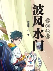《波风水门的猪队友》小说封面