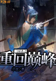 《三国杀之重回巅峰》小说封面