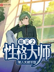 《精灵之性格大师》小说封面