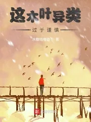 《这木叶异类过于谨慎》小说封面