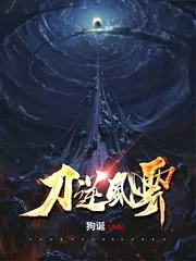 《刀逆风云》小说封面
