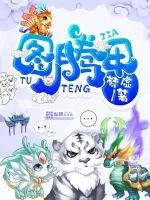 《图腾甲》小说封面