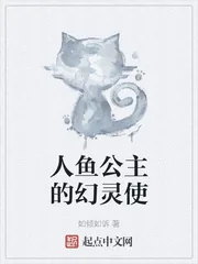 《人鱼公主的幻灵使》小说封面
