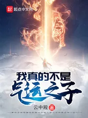 《我真的不是气运之子》小说封面