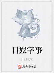 《日娱字事》小说封面