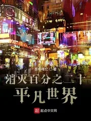 《消灭百分之二十平凡世界》小说封面