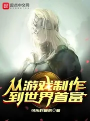 《从游戏制作到世界首富》小说封面