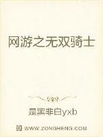 《网游之无双骑士》小说封面