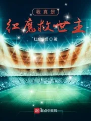 《我真是红魔救世主》小说封面