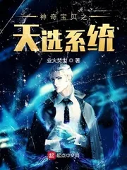 《神奇宝贝之天选系统》小说封面