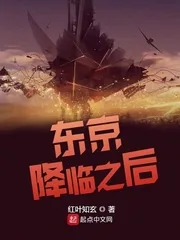 《东京降临之后》小说封面