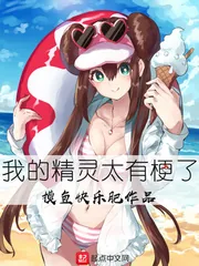 《我的精灵太有梗了》小说封面