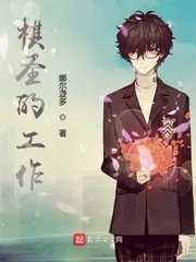 《棋圣的工作》小说封面