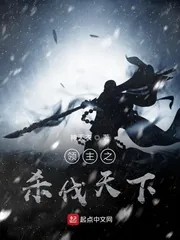 《领主之杀伐天下》小说封面