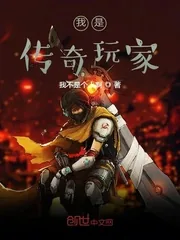 《我是传奇玩家》小说封面