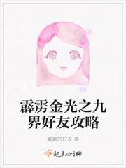 《霹雳金光之九界好友攻略》小说封面