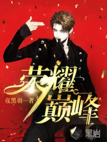 《荣耀巅峰》小说封面