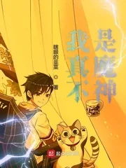 《我真不是魔神》小说封面