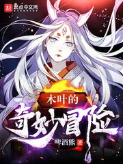 《木叶的奇妙冒险》小说封面