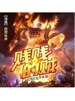 《贱贱的贼》小说封面