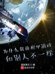 《为什么我的机甲游戏和别人不一样》小说封面