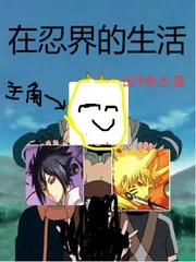 《在忍界的生活》小说封面