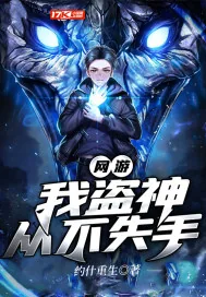 《网游：我盗神，从不失手》小说封面